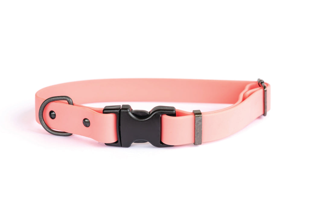 Waterproof Dog Collar – Coral Reef Super Soft PVC