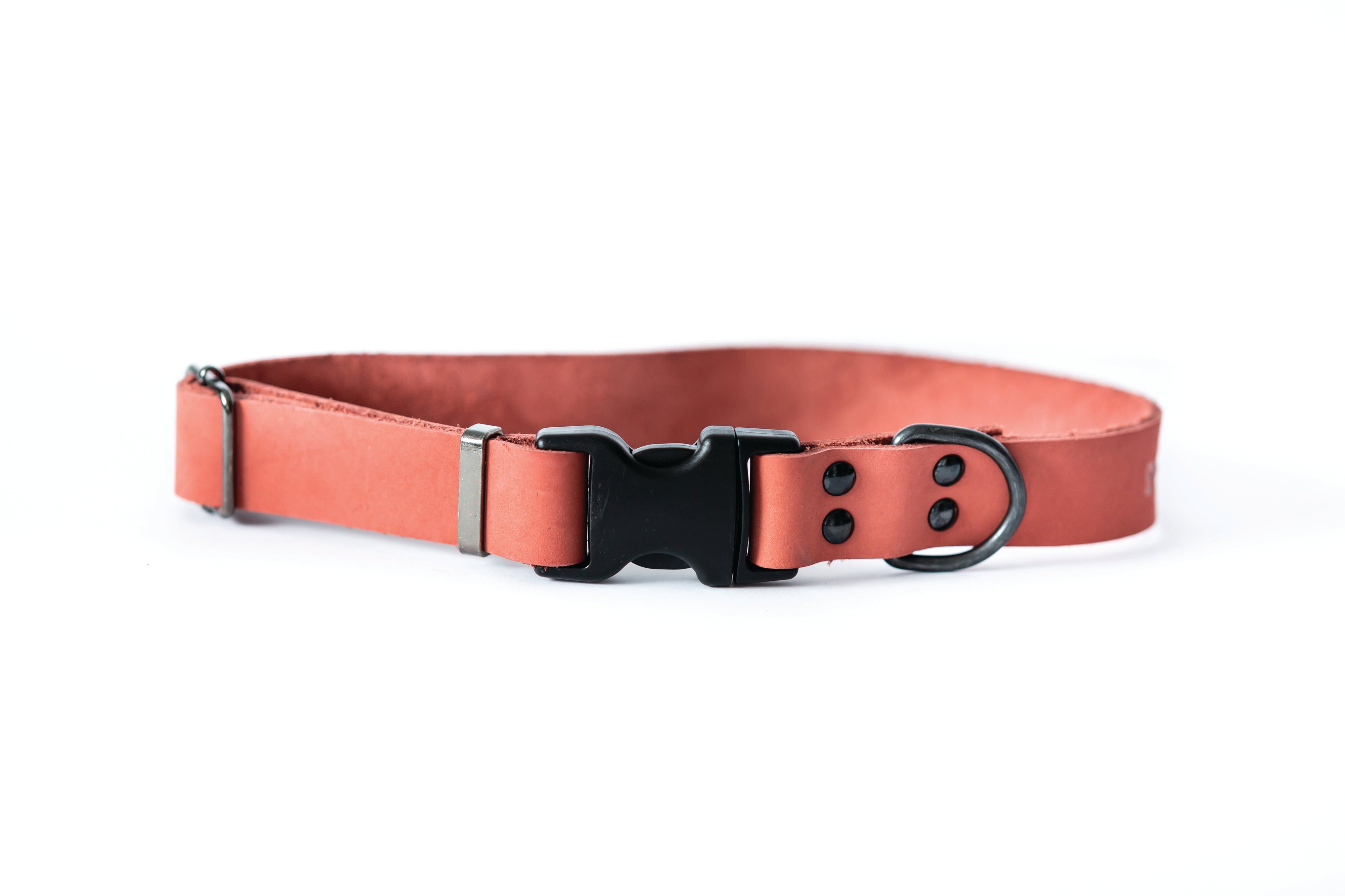 Sport Style Leather Dog Collar – Coral Reef