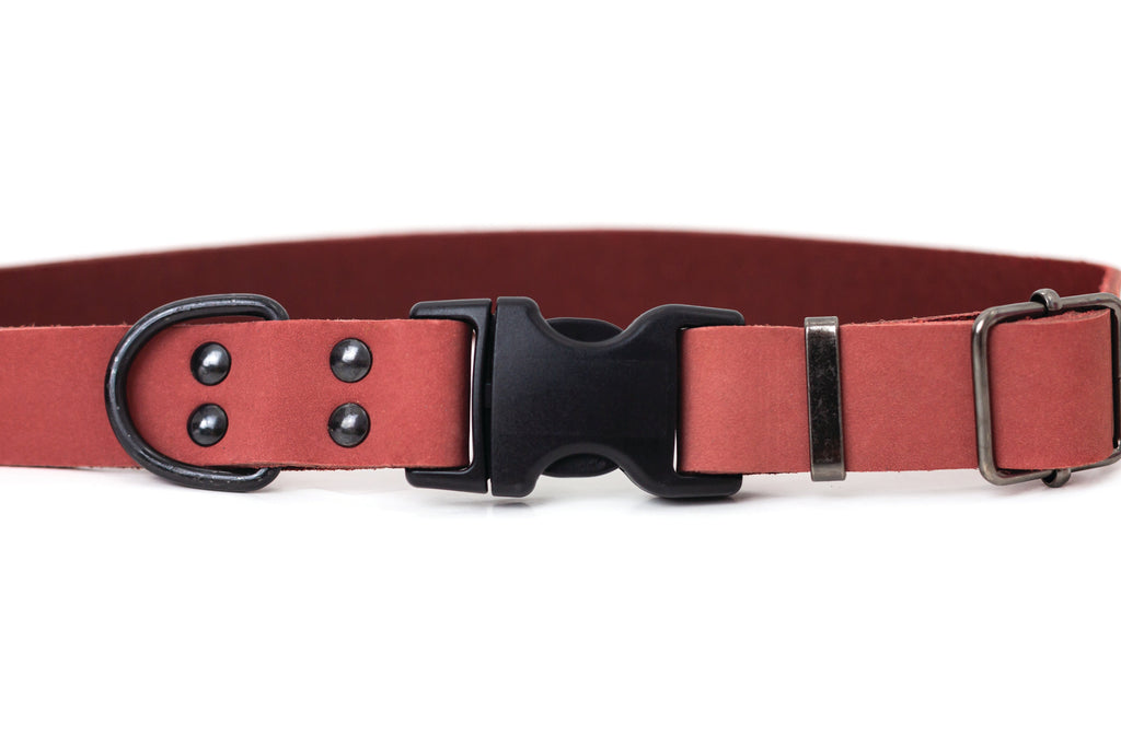 Sport Style Leather Dog Collar – Coral Reef