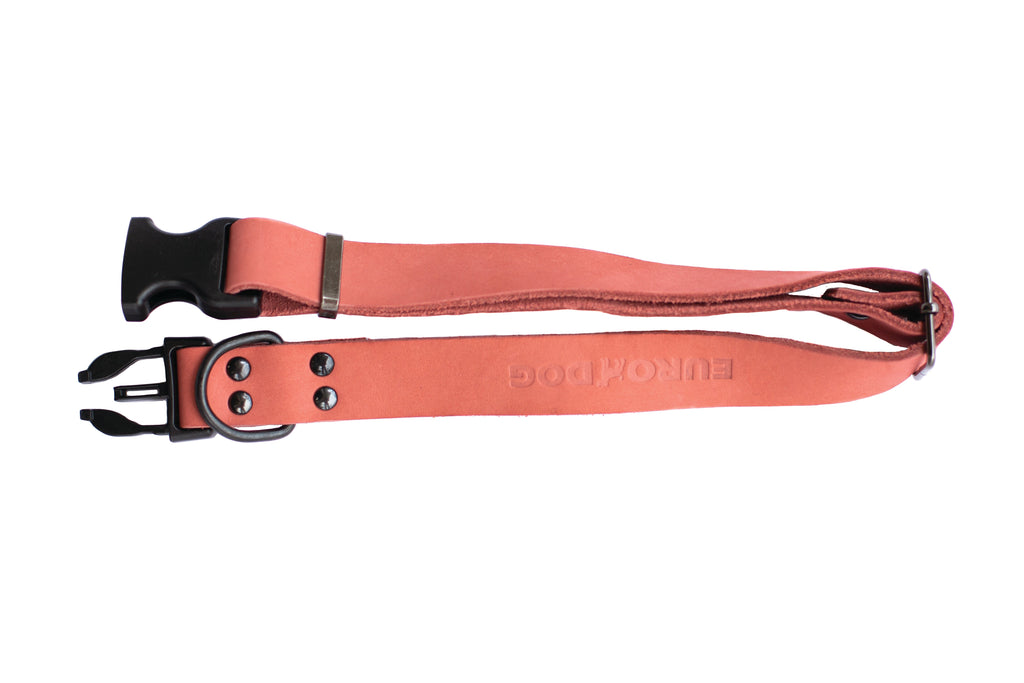 Sport Style Leather Dog Collar – Coral Reef