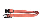 Sport Style Leather Dog Collar – Coral Reef
