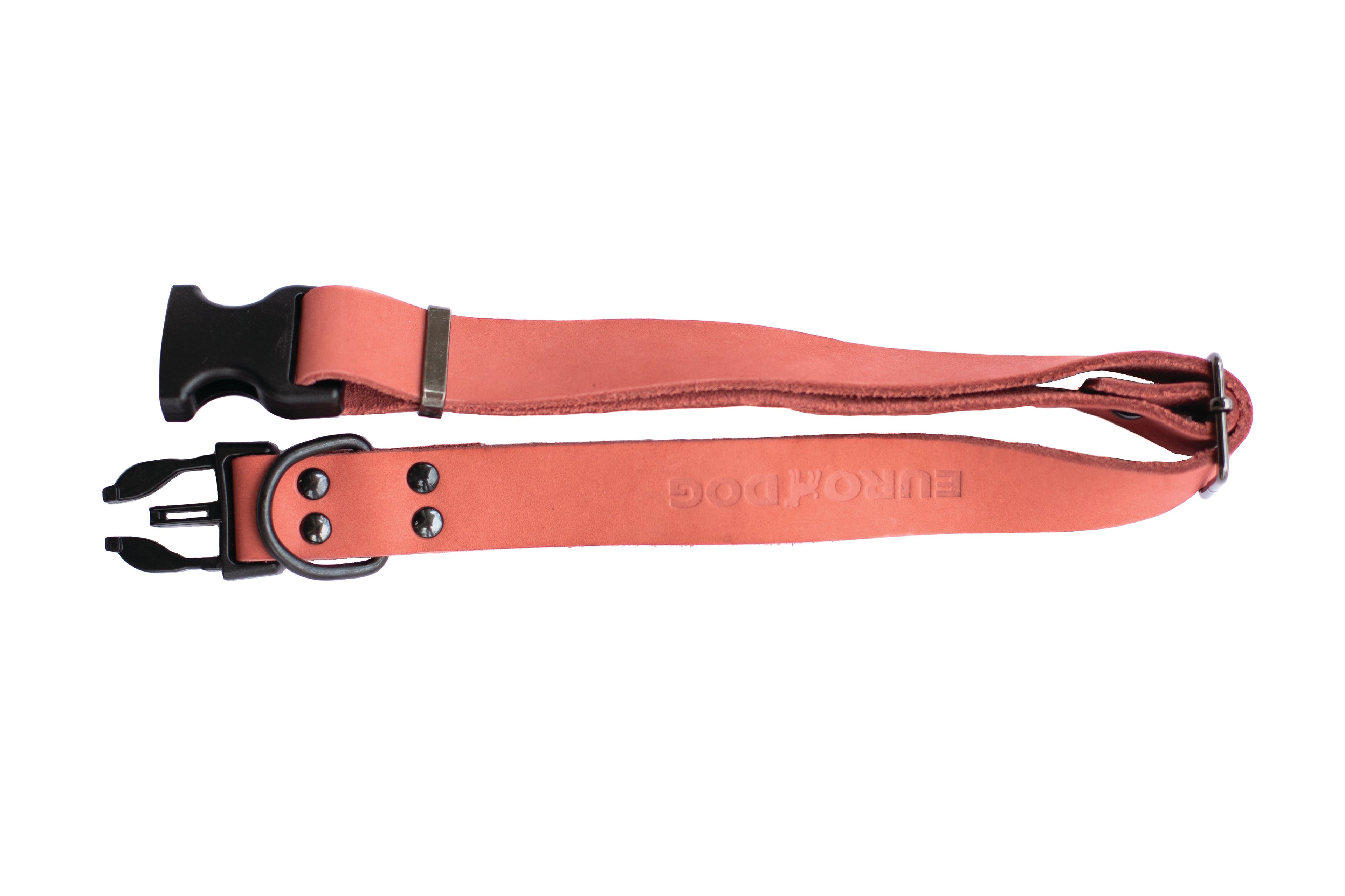 Sport Style Leather Dog Collar – Coral Reef
