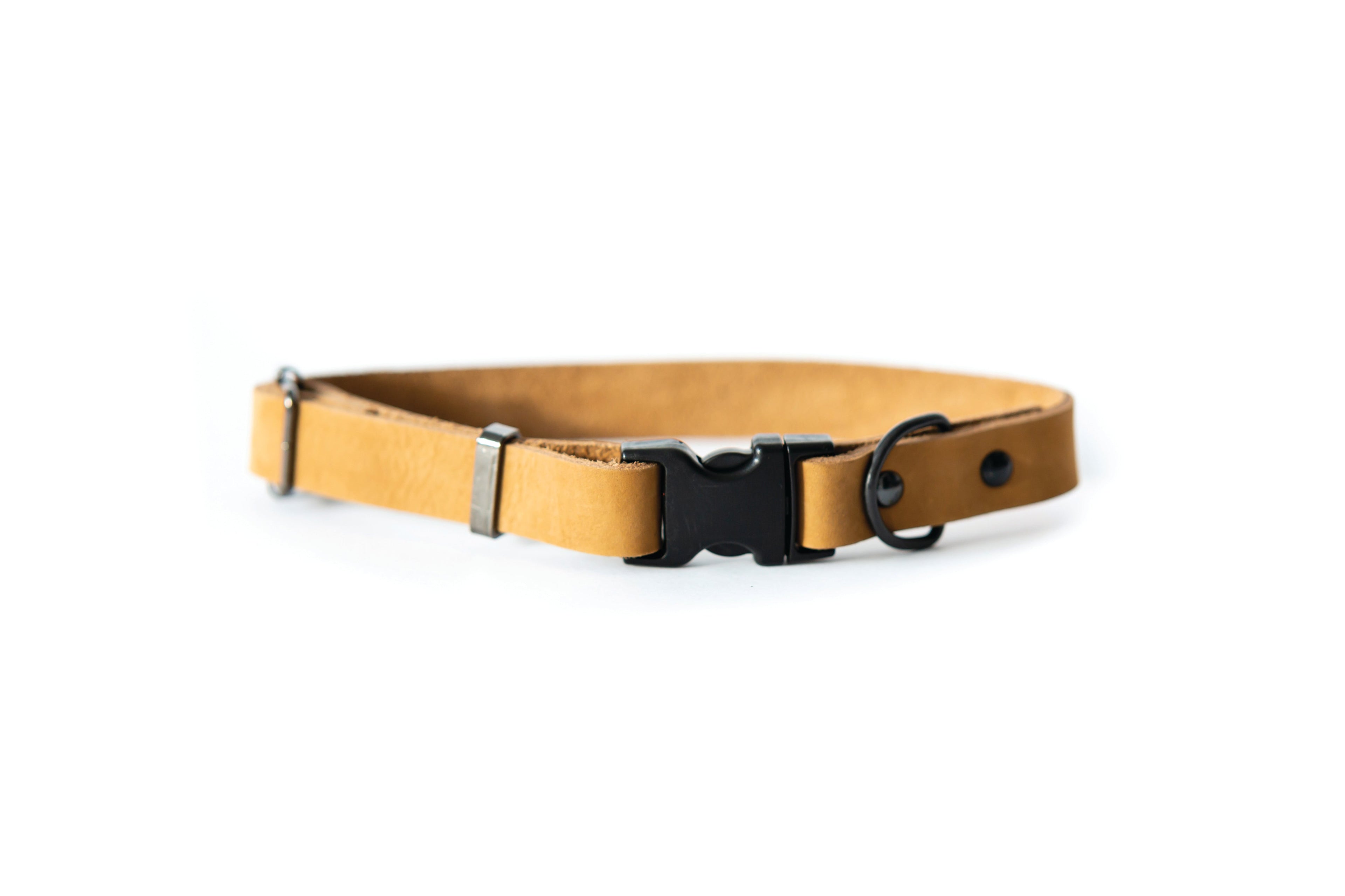 Sport Style Leather Dog Collar – Khaki