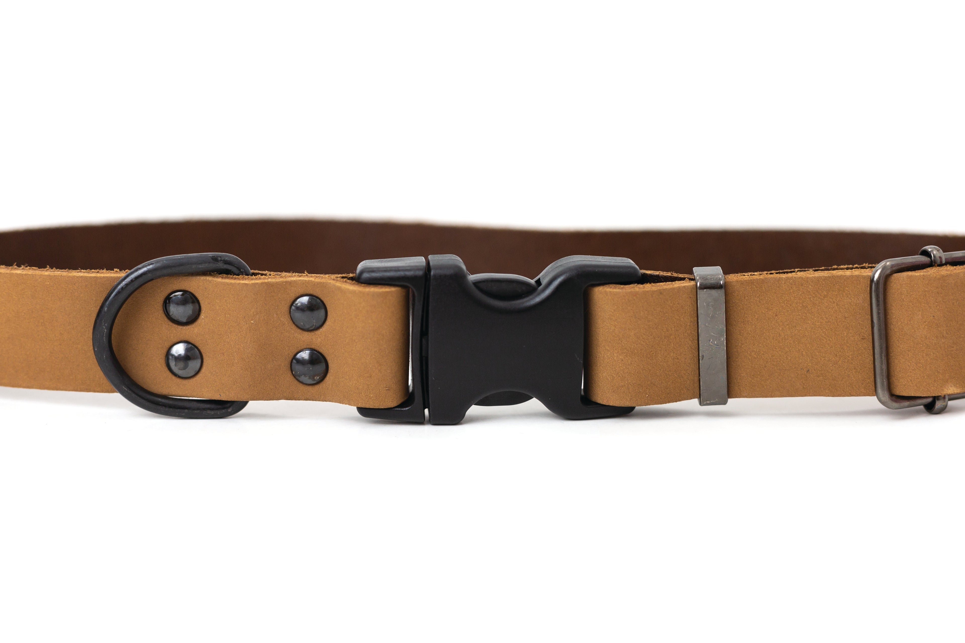 Sport Style Leather Dog Collar – Khaki
