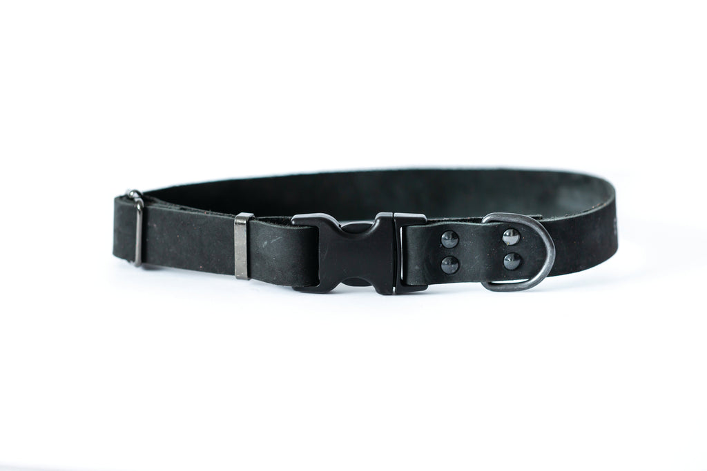 Sport Style Leather Dog Collar – Midnight Black