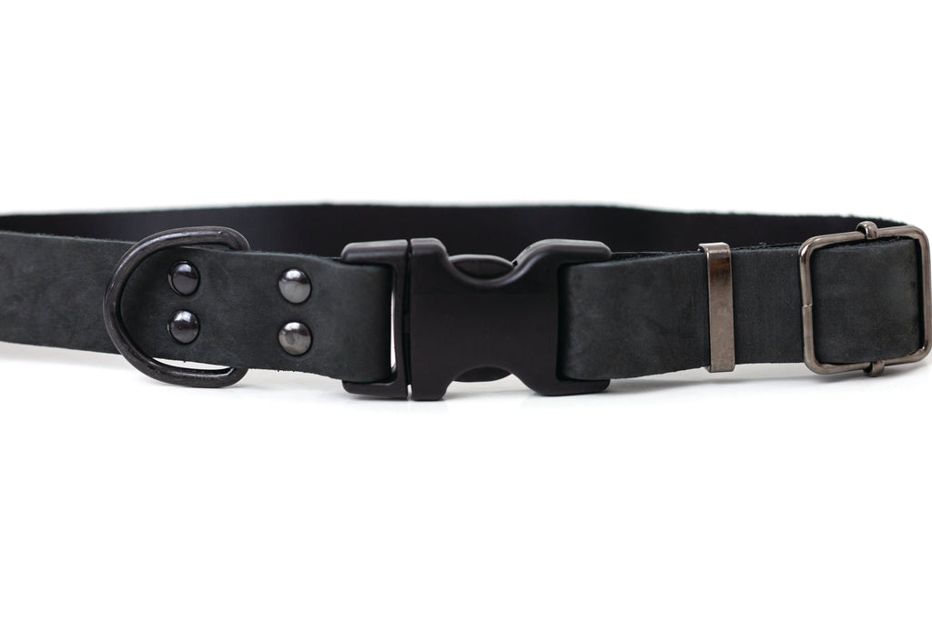 Sport Style Leather Dog Collar – Midnight Black