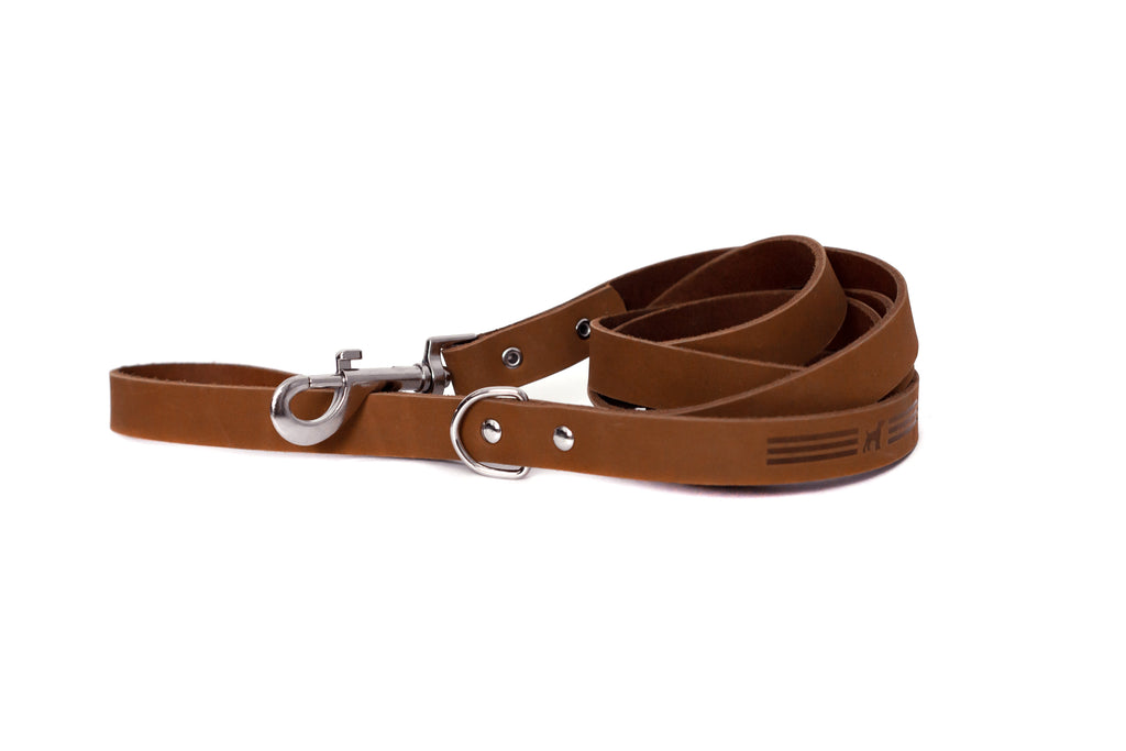 Modern Leather Dog Leash – Earth Brown