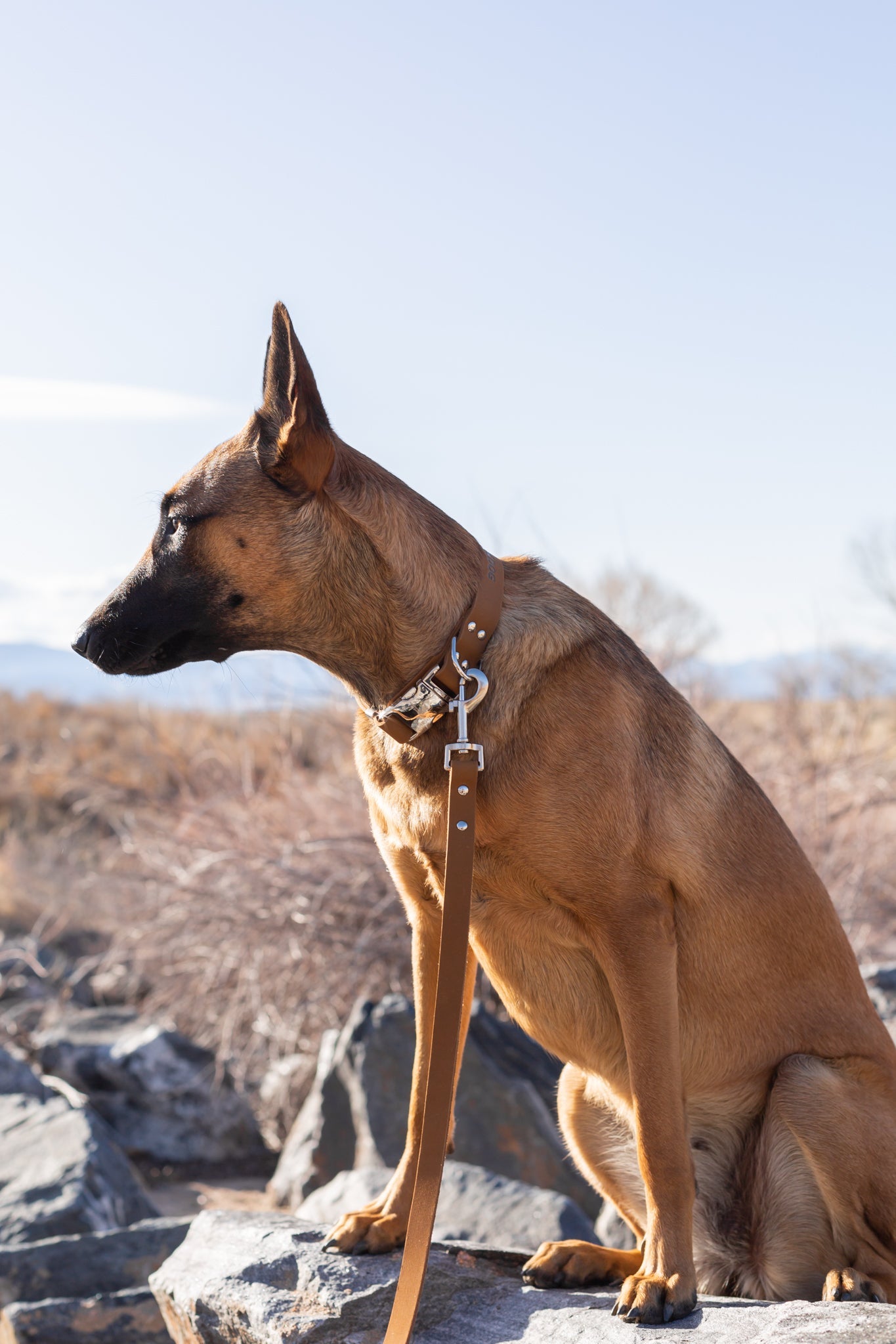 Modern Leather Dog Leash – Earth Brown