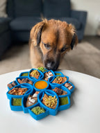 Mandala eTray – Shallow Slow Feeder Dog Bowl | USA Made